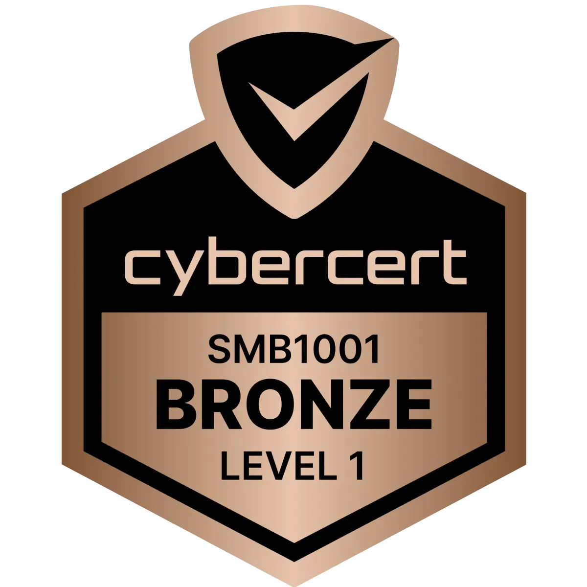 ISO 27001 Bronze